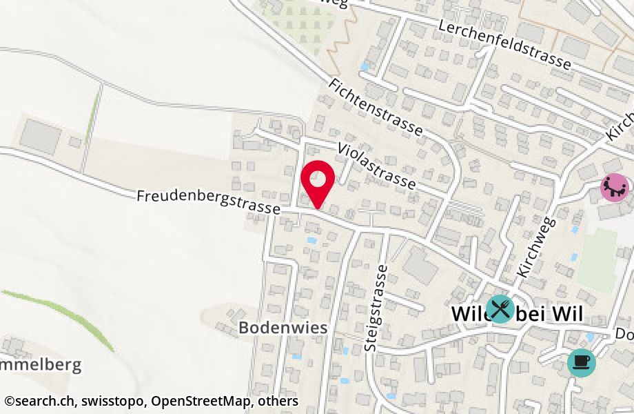 Freudenbergstrasse 34, 9535 Wilen b. Wil