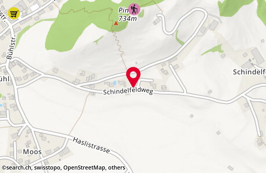 Schindelfeldweg 29, 3752 Wimmis