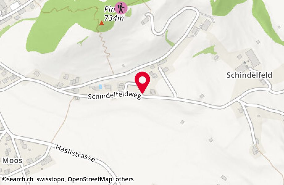 Schindelfeldweg 33, 3752 Wimmis