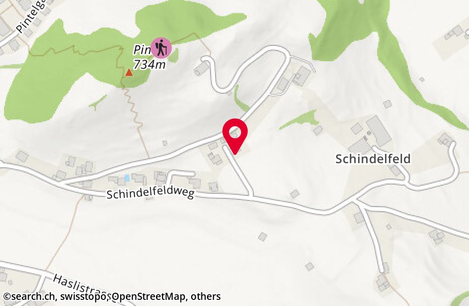 Schindelfeldweg 39, 3752 Wimmis