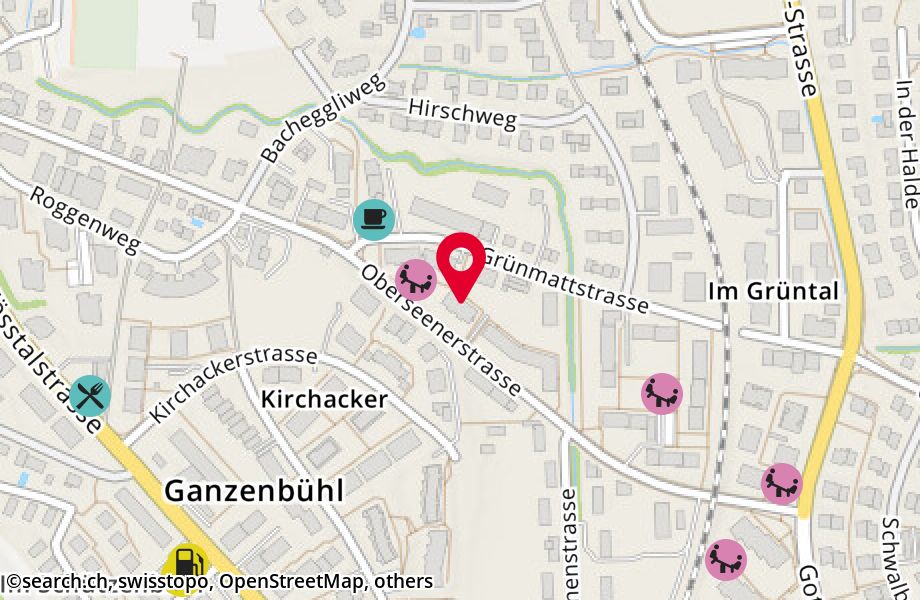 Grünmattstrasse 6, 8405 Winterthur