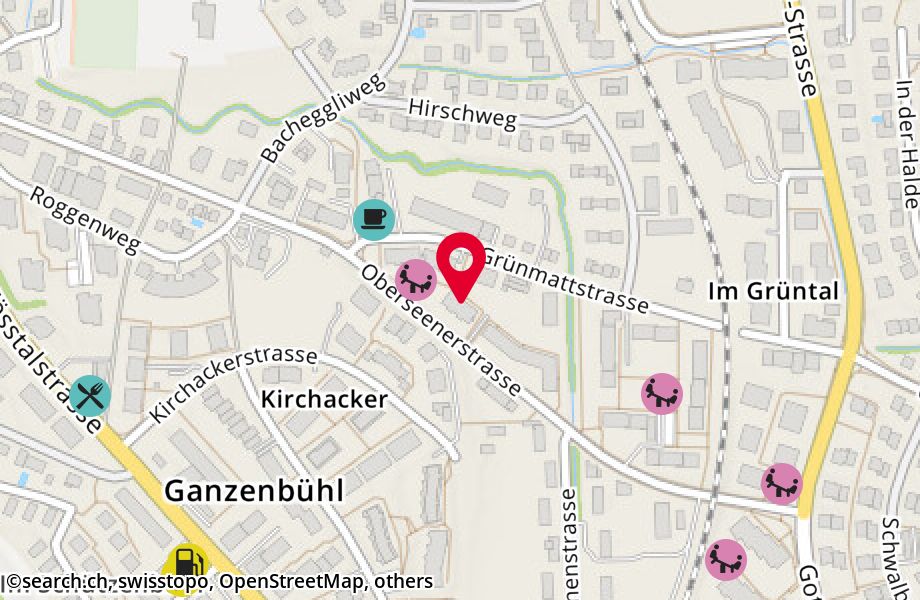 Grünmattstrasse 6, 8405 Winterthur