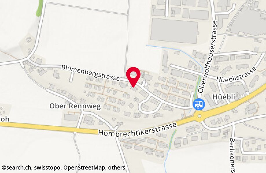 Blumenbergstrasse 13, 8633 Wolfhausen