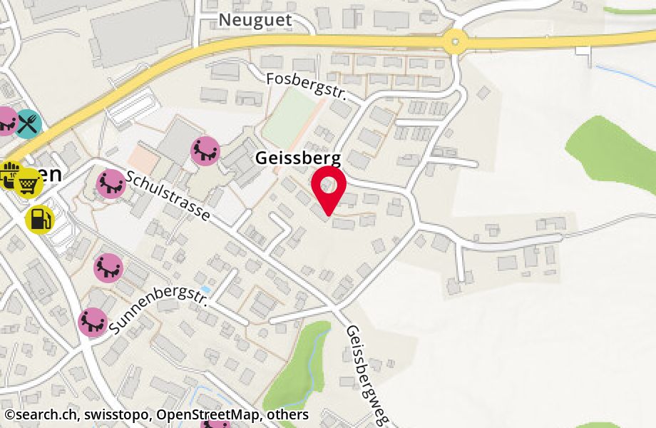 Geissbergstrasse 60, 8633 Wolfhausen