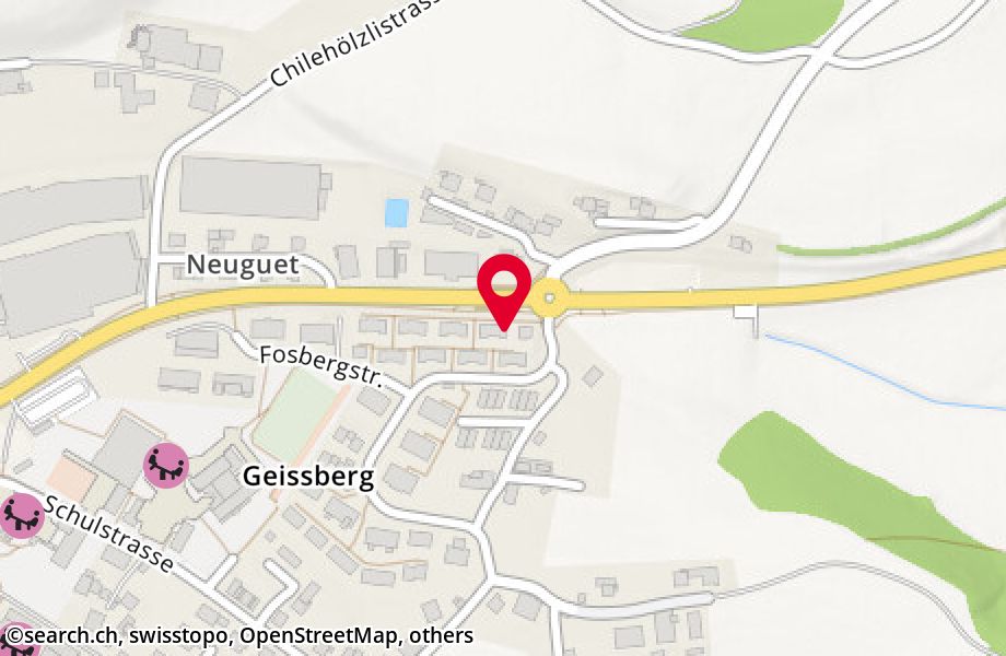 Geissbergstrasse 8, 8633 Wolfhausen