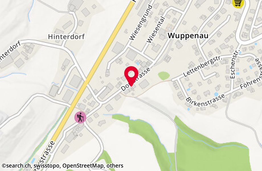Dorfstrasse 17, 9514 Wuppenau
