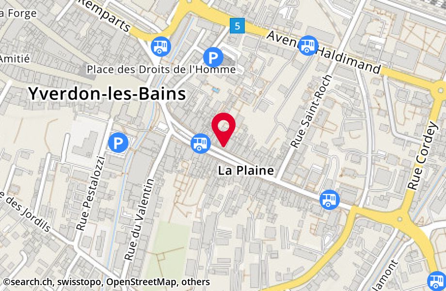 Rue de la Plaine 29, 1400 Yverdon-les-Bains
