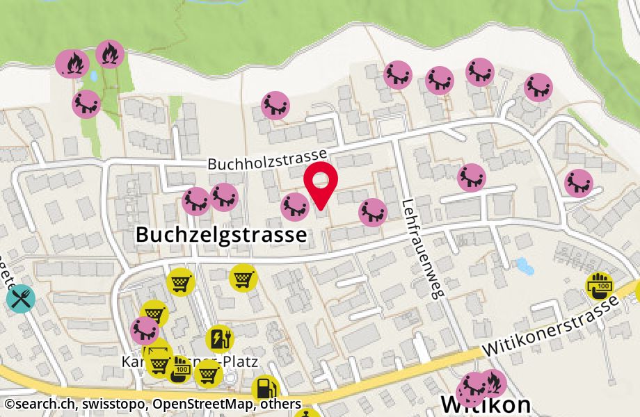 Buchholzstrasse 100, 8053 Zürich