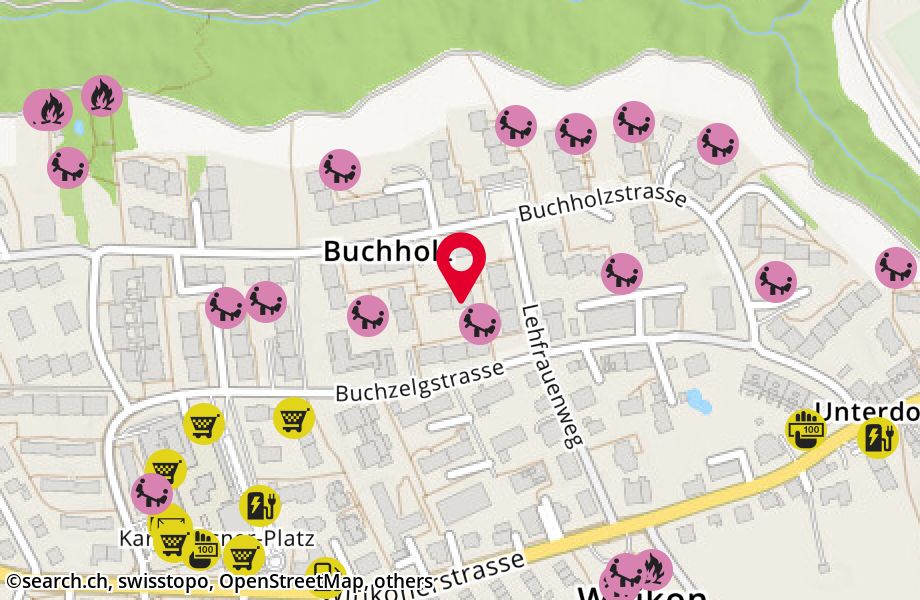 Buchholzstrasse 106, 8053 Zürich