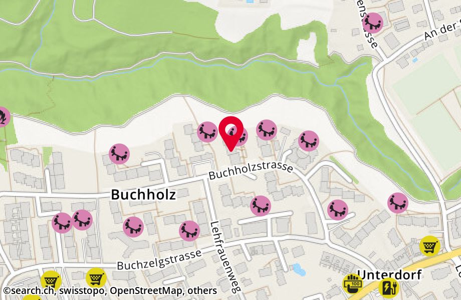 Buchholzstrasse 127, 8053 Zürich