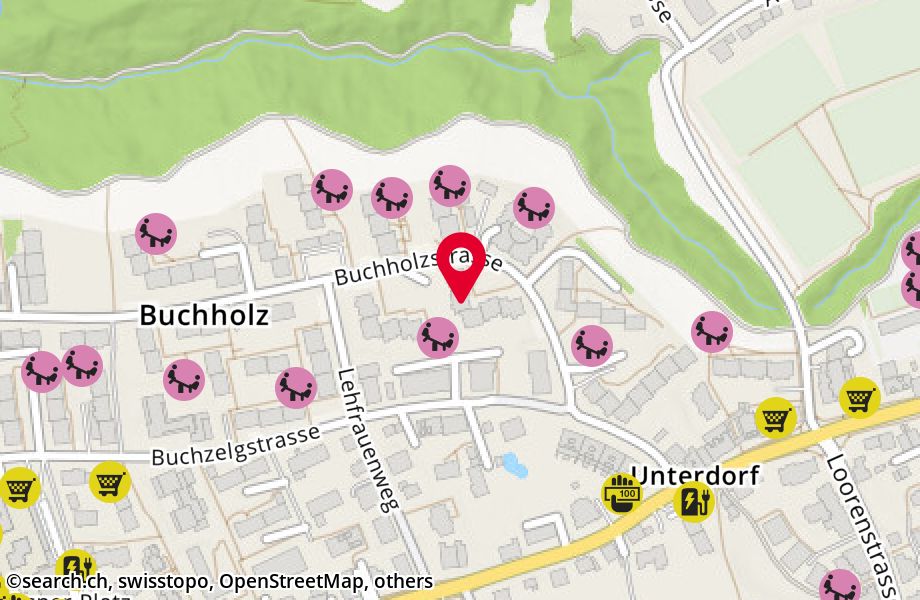 Buchholzstrasse 142, 8053 Zürich