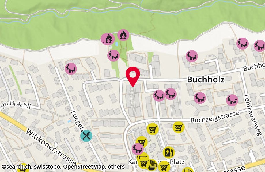 Buchholzstrasse 58, 8053 Zürich
