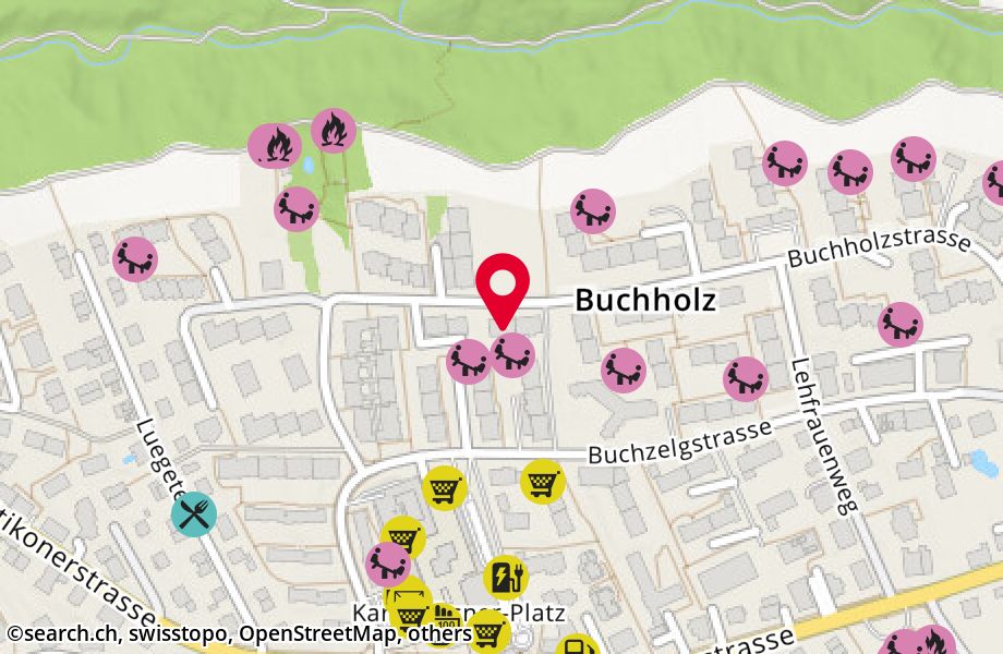 Buchholzstrasse 70, 8053 Zürich