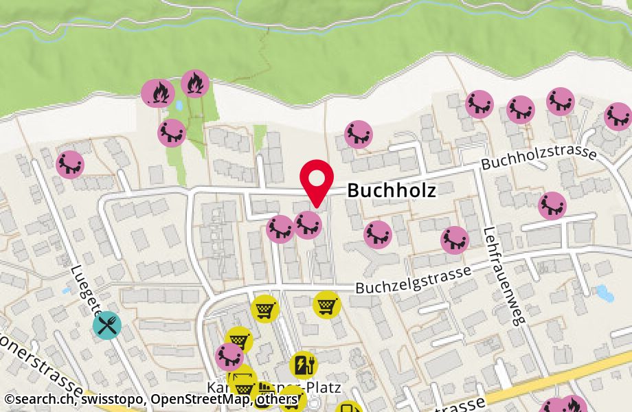 Buchholzstrasse 72, 8053 Zürich