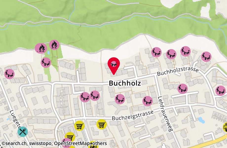 Buchholzstrasse 89, 8053 Zürich