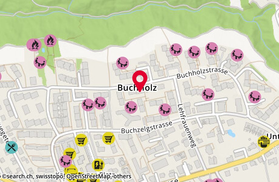 Buchholzstrasse 94, 8053 Zürich