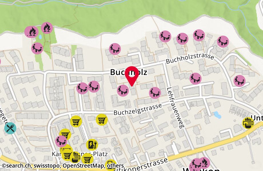 Buchholzstrasse 98, 8053 Zürich