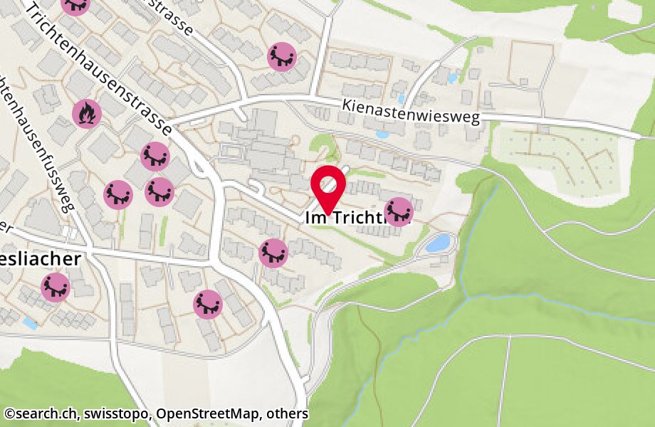 Im Trichtisal 33, 8053 Zürich