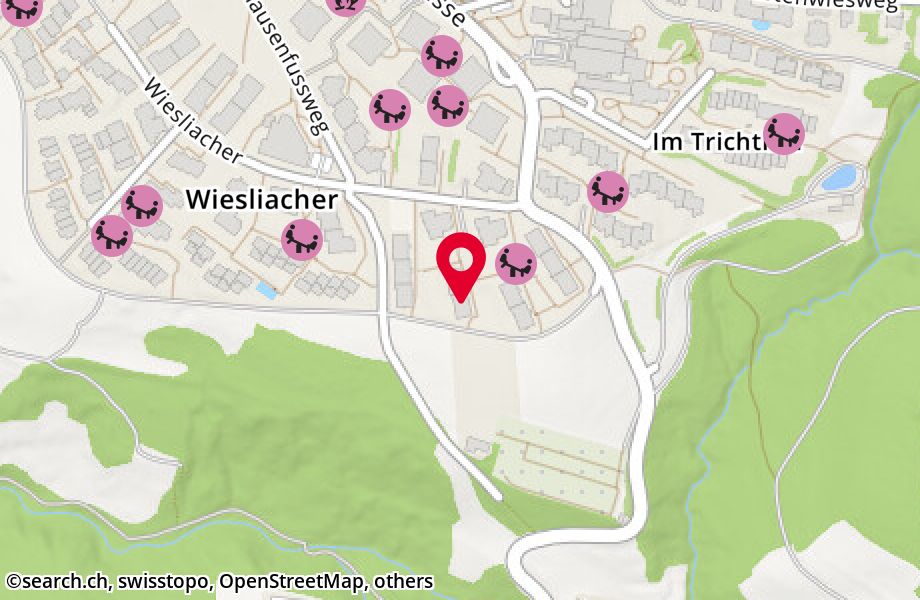 Wiesliacher 11, 8053 Zürich