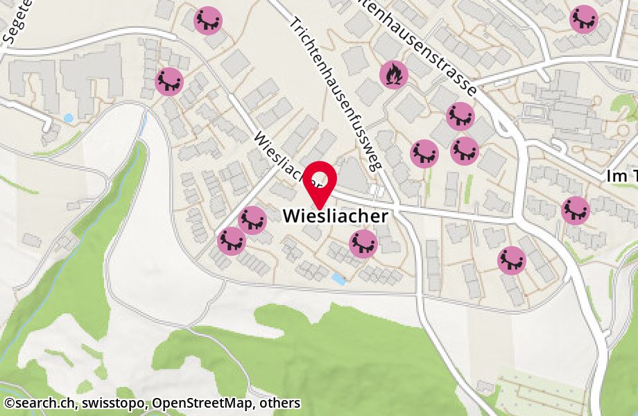 Wiesliacher 61, 8053 Zürich