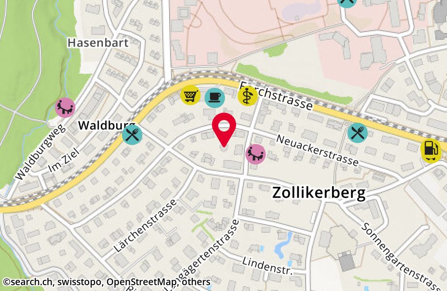 Neuackerstrasse 32, 8125 Zollikerberg