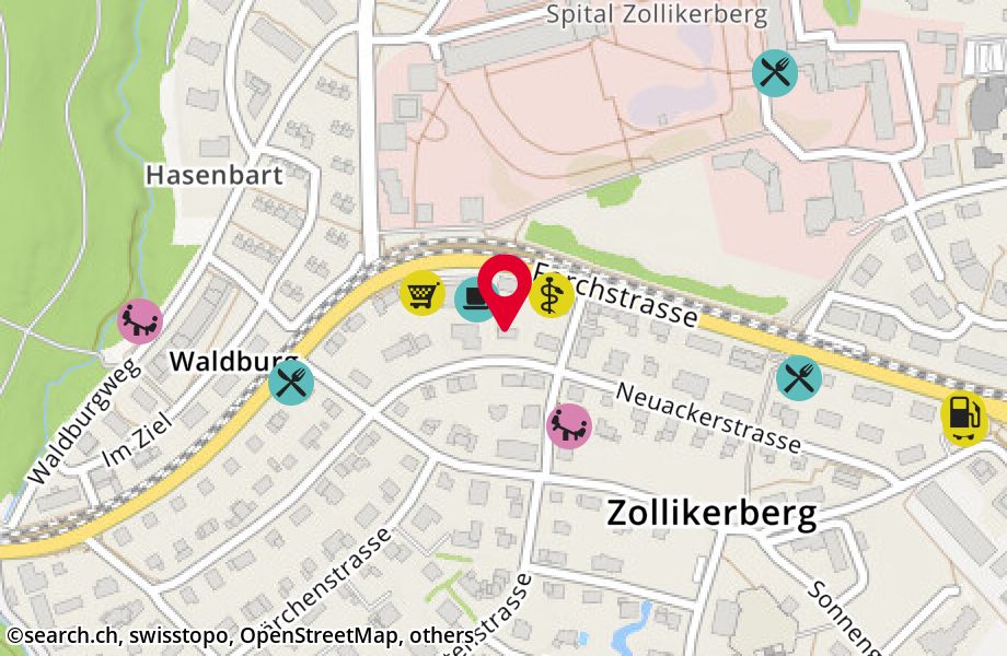Neuackerstrasse 35, 8125 Zollikerberg