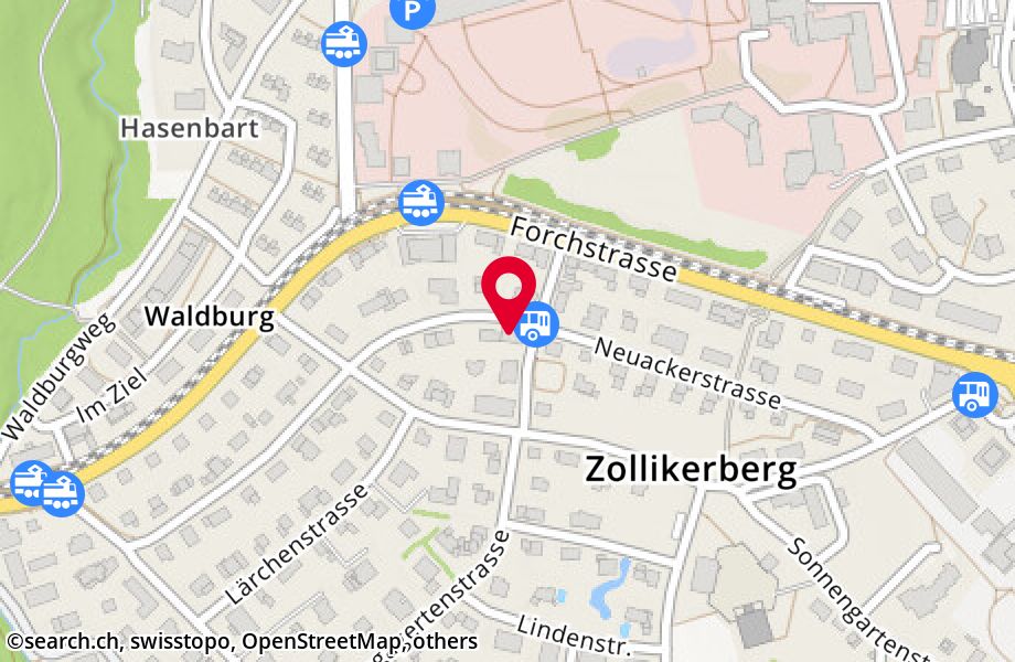 Neuackerstrasse 36, 8125 Zollikerberg