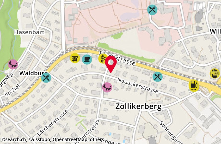 Neuackerstrasse 43, 8125 Zollikerberg