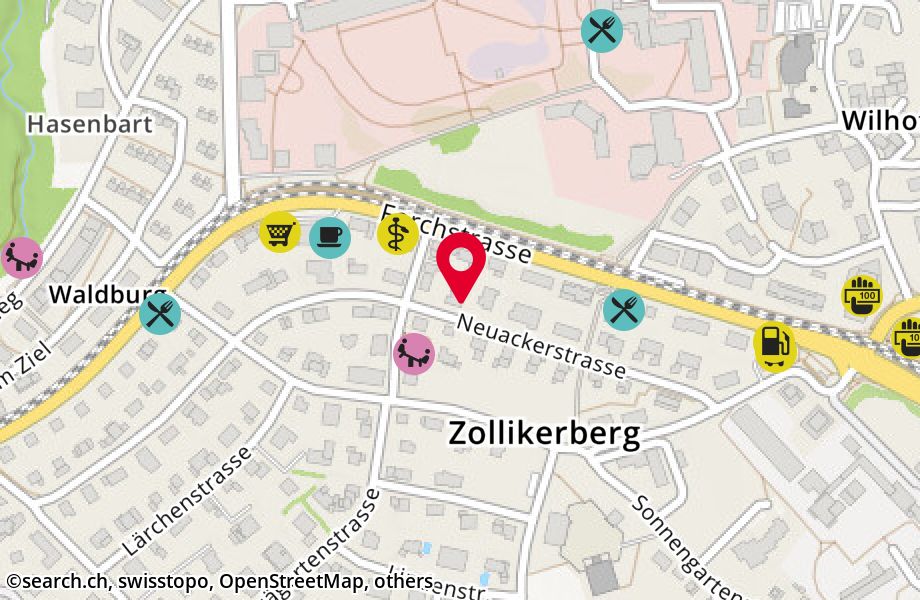 Neuackerstrasse 47, 8125 Zollikerberg