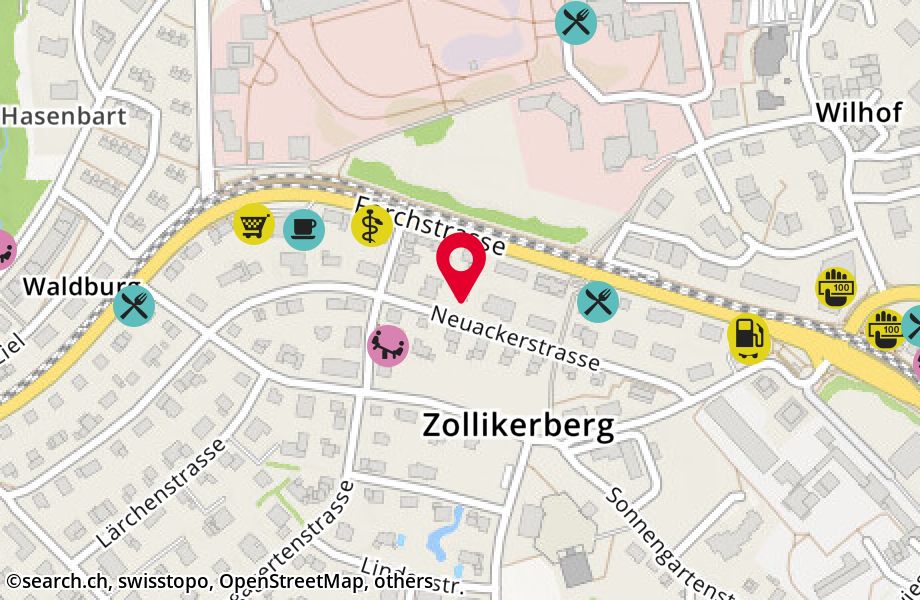 Neuackerstrasse 49, 8125 Zollikerberg