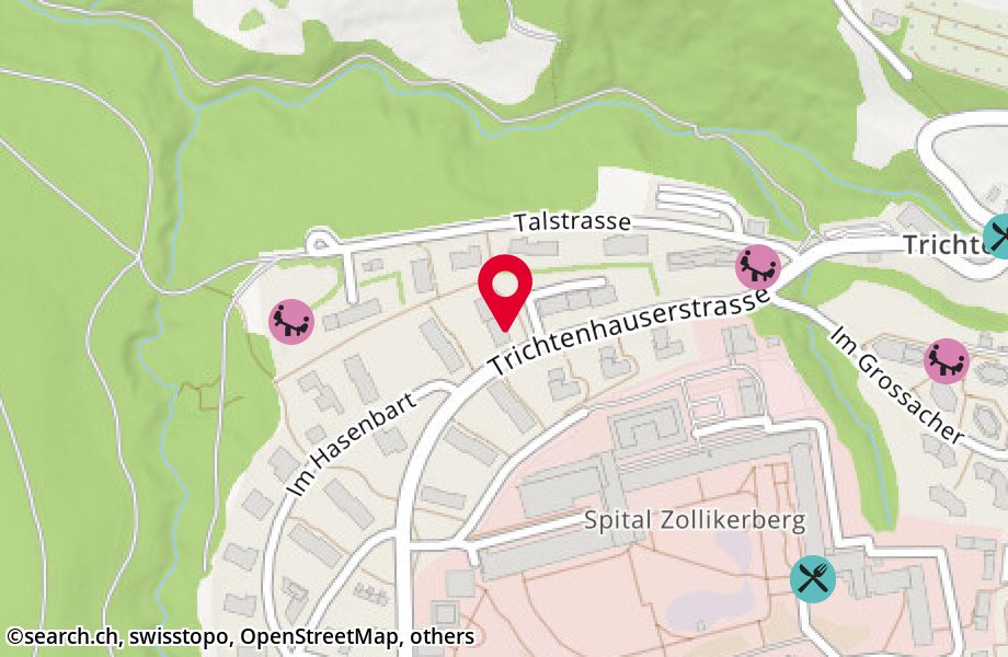 Trichtenhauser Strasse 35, 8125 Zollikerberg