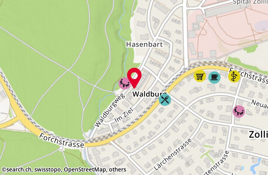 Waldburgweg 12, 8125 Zollikerberg