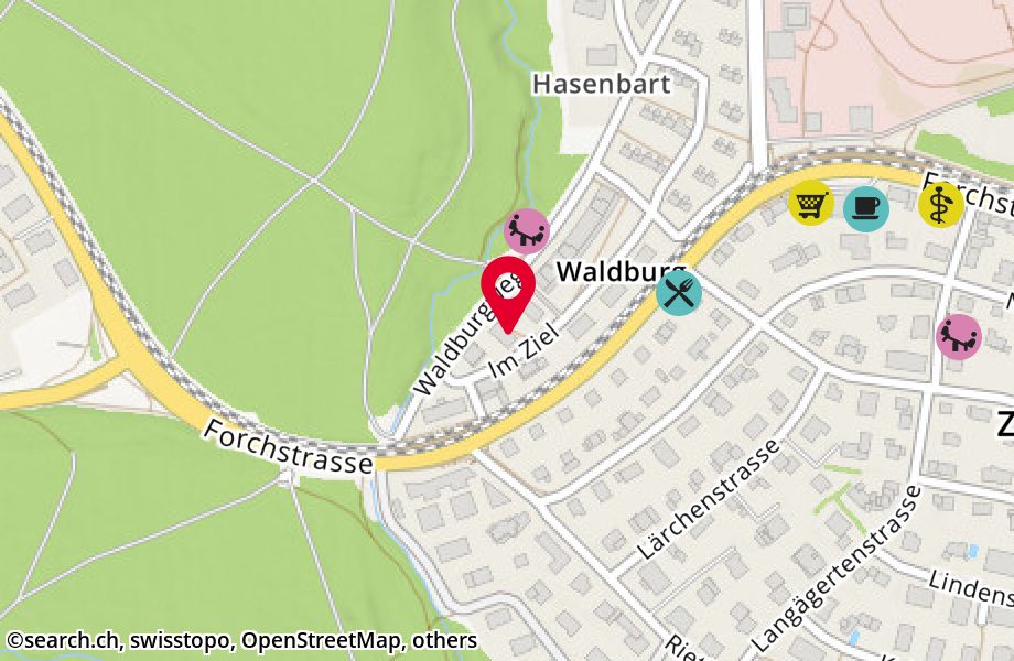 Waldburgweg 6, 8125 Zollikerberg