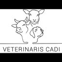 Veterinaris Cadi GmbH