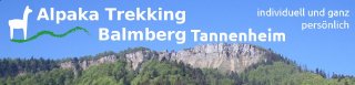 Alpaka Trekking Balmberg Tannenheim