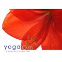 Yoga Om