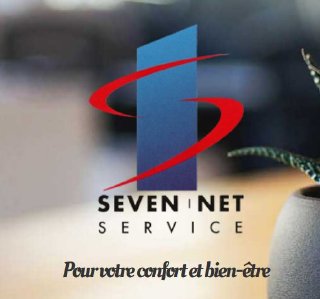 Seven Net Service