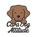 Cara Dog Attitude Savary