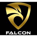 Falcon Automobile AG