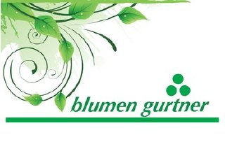 Gurtner Beat GmbH
