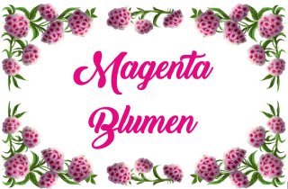 Magenta Blumen - Kishta