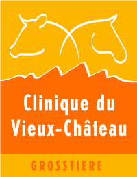 Clinique Vétérinaire du Vieux-Château Grands Animaux Sàrl (Grosstiere