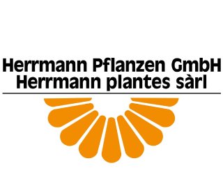Herrmann Pflanzen GmbH