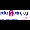 Peter Spring AG