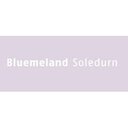 Bluemeland Soledurn GmbH