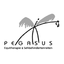 PEGASUS Equitherapie & Sehbehindertenreiten