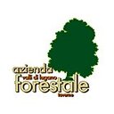 AFOR - Azienda Forestale Valli di Lugano SA