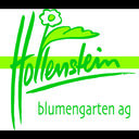 hollenstein blumengarten ag, Blumenshop, Gärtnerei, Gartenbau