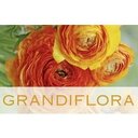 Grandiflora Blumenatelier GmbH