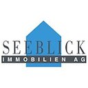 Seeblick Immobilien AG